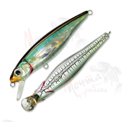 ВОБЛЕР PONTOON 21 GREEDY GUTS 66SP-SR #405